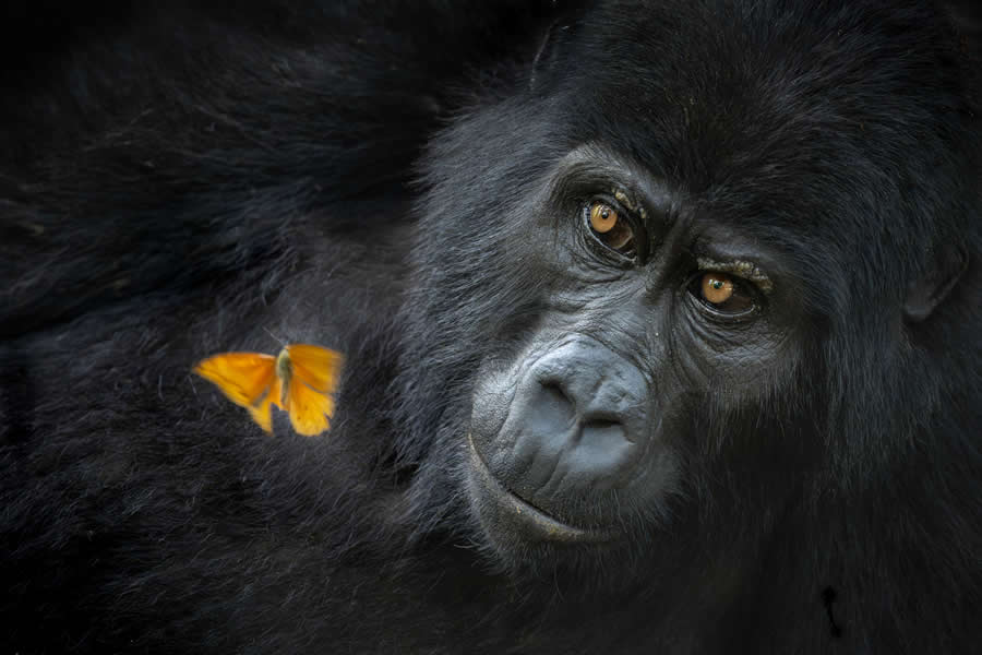 Shared Wonder by Mary Schrader - Nature Photographer of the Year 2025 Winners