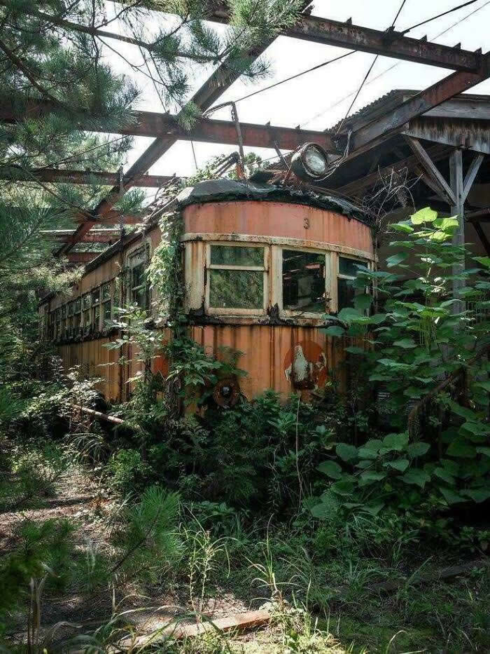 Abandoned Overgrown Train And Station In Yamagata,japan - Haunting Abandoned Places