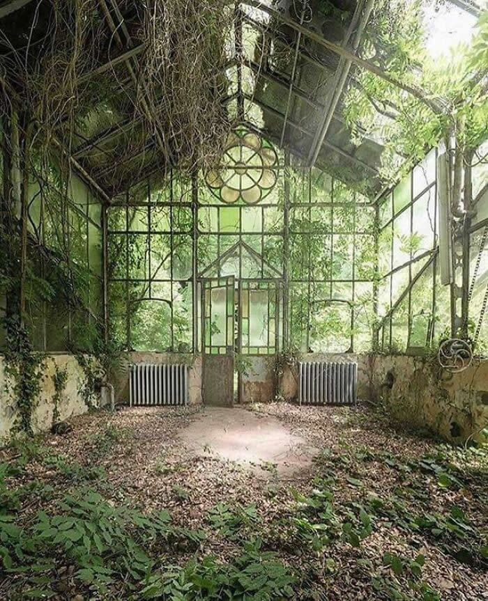 Abandoned Greenhouse, Italy - Haunting Abandoned Places