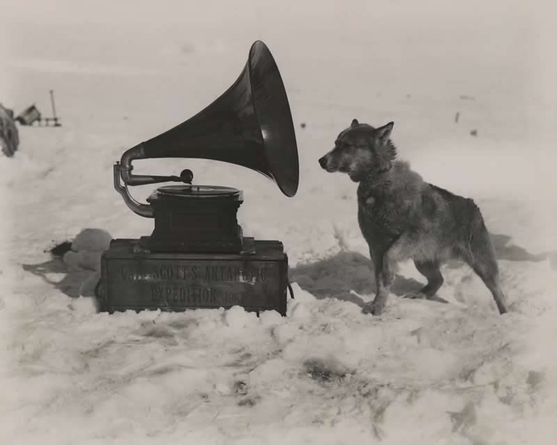 A sled dog inspects a gramophone by Herbert G. Ponting - Most Iconic Photos From the National Geographic Archives
