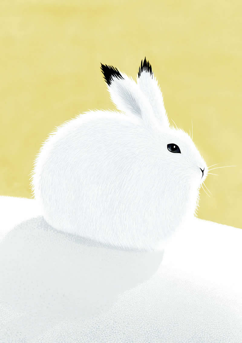 The Fairy-Tale Animal World of Amandine Delaunay