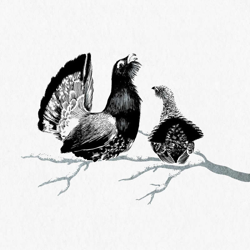 The Fairy-Tale Animal World of Amandine Delaunay