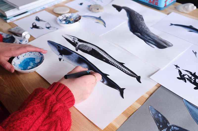 The Fairy-Tale Animal World of Amandine Delaunay