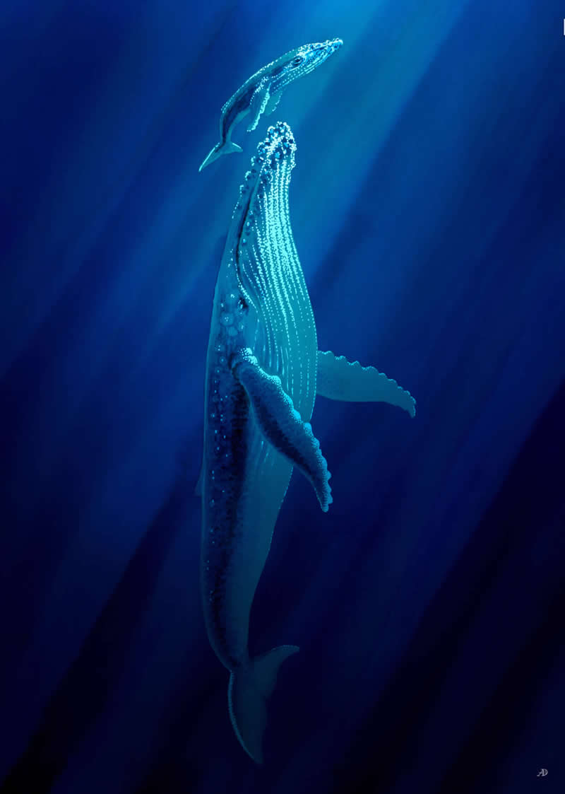 The Fairy-Tale Animal World of Amandine Delaunay