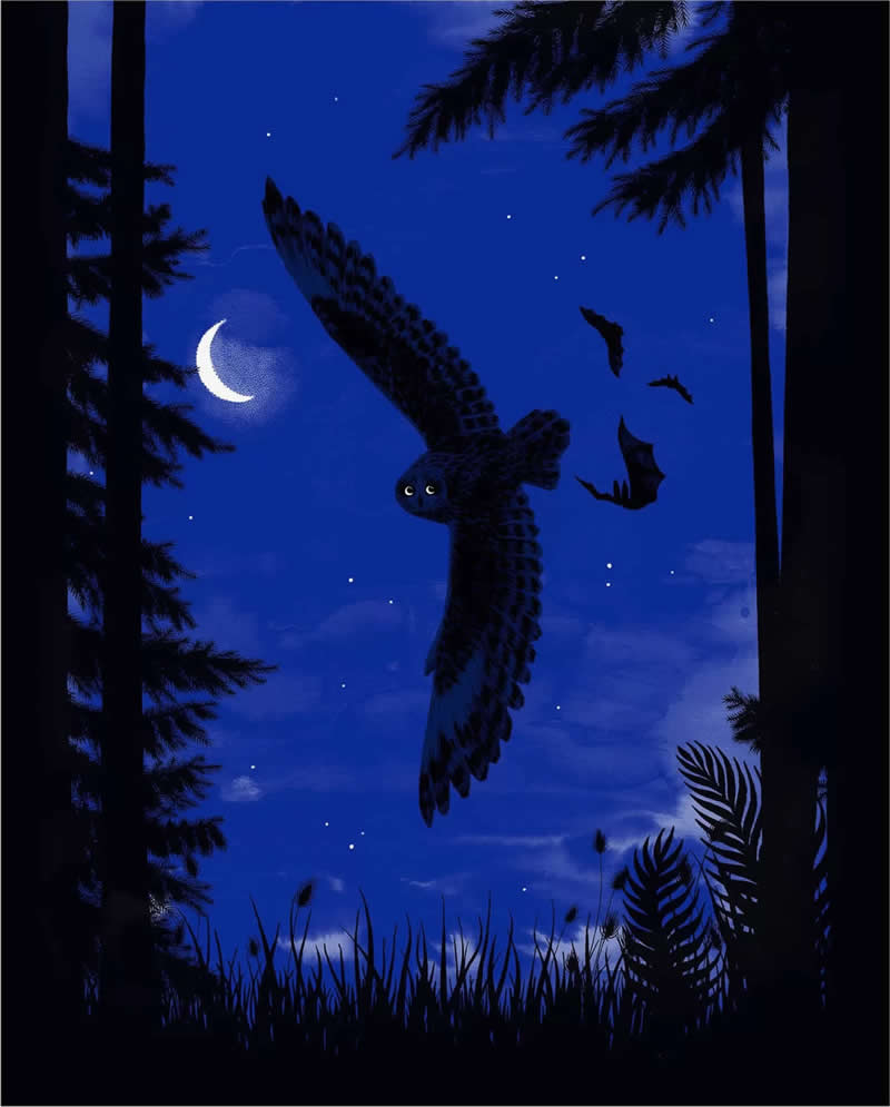 The Fairy-Tale Animal World of Amandine Delaunay