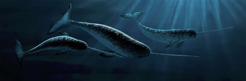 The Fairy-Tale Animal World of Amandine Delaunay