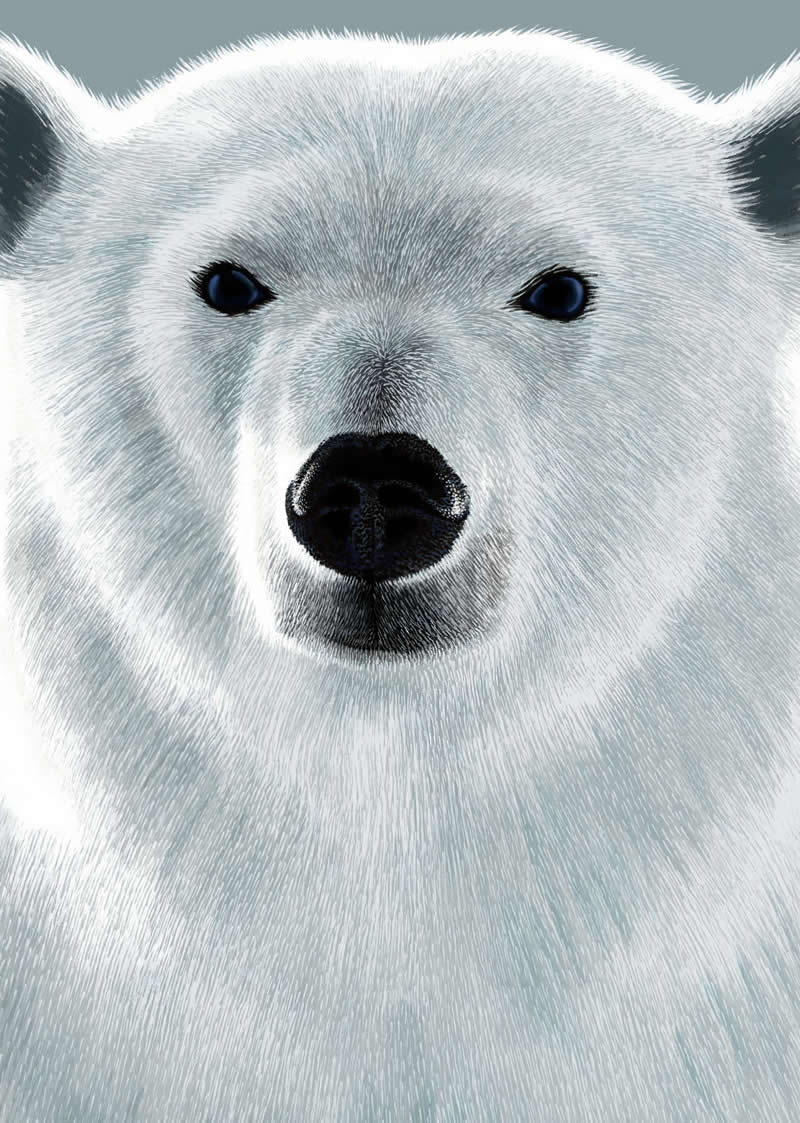 The Fairy-Tale Animal World of Amandine Delaunay