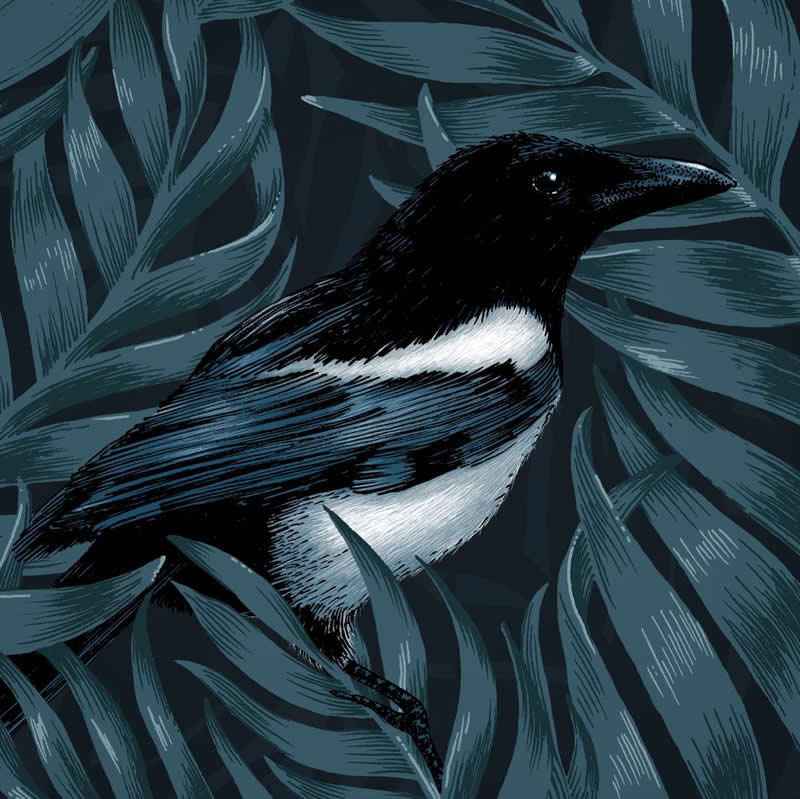 The Fairy-Tale Animal World of Amandine Delaunay