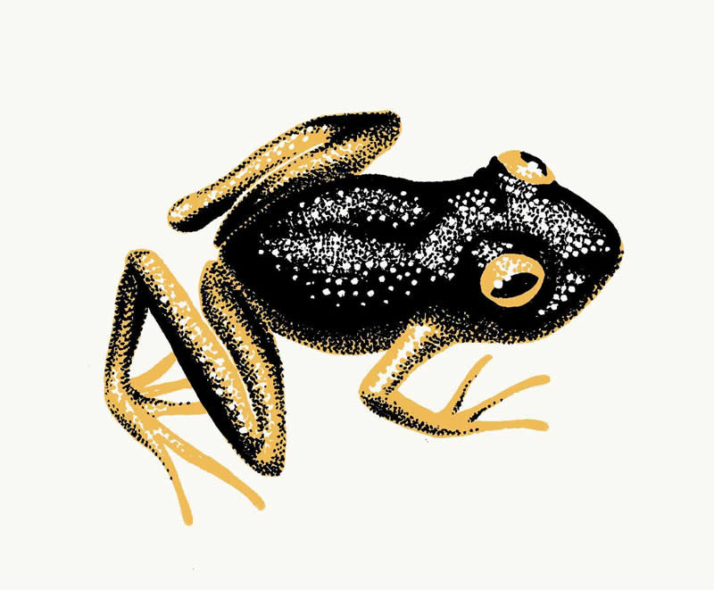 The Fairy-Tale Animal World of Amandine Delaunay