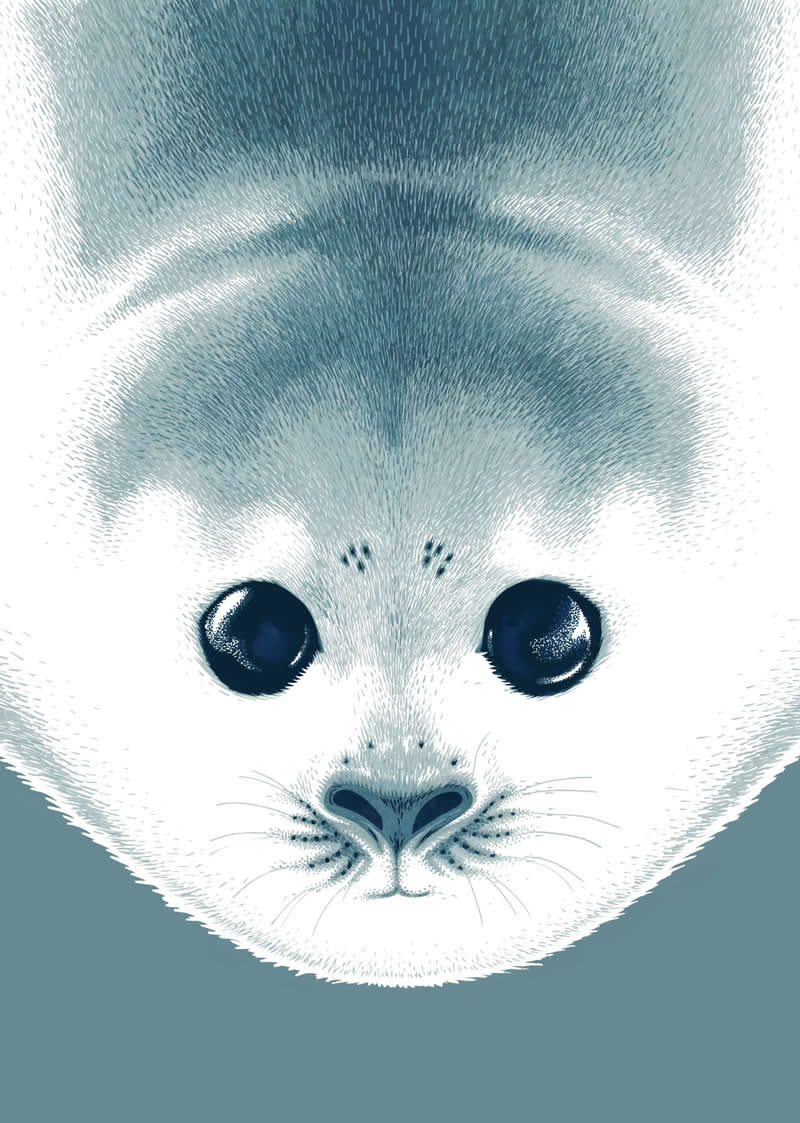 The Fairy-Tale Animal World of Amandine Delaunay