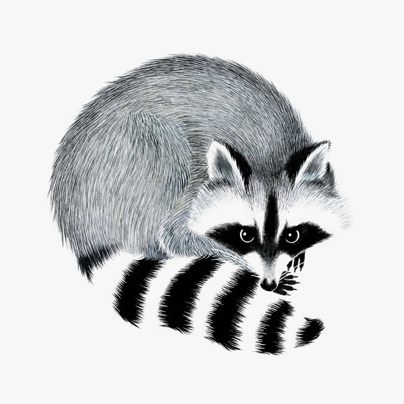 The Fairy-Tale Animal World of Amandine Delaunay