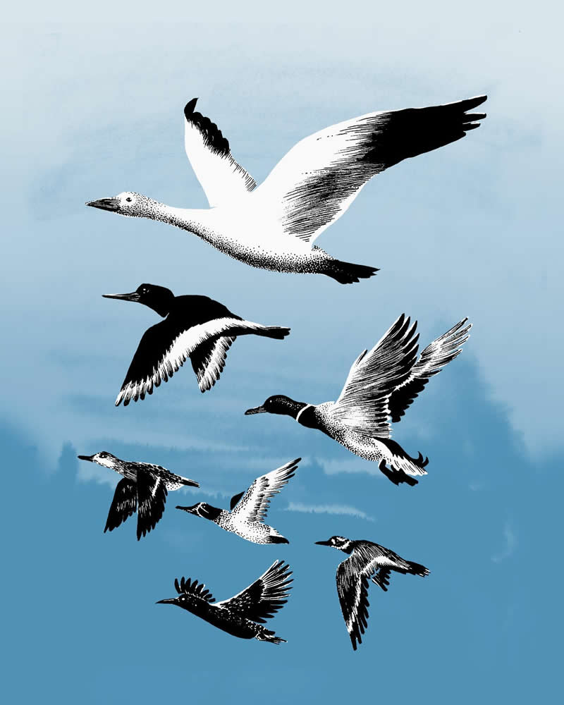 The Fairy-Tale Animal World of Amandine Delaunay