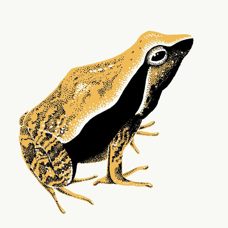 The Fairy-Tale Animal World of Amandine Delaunay