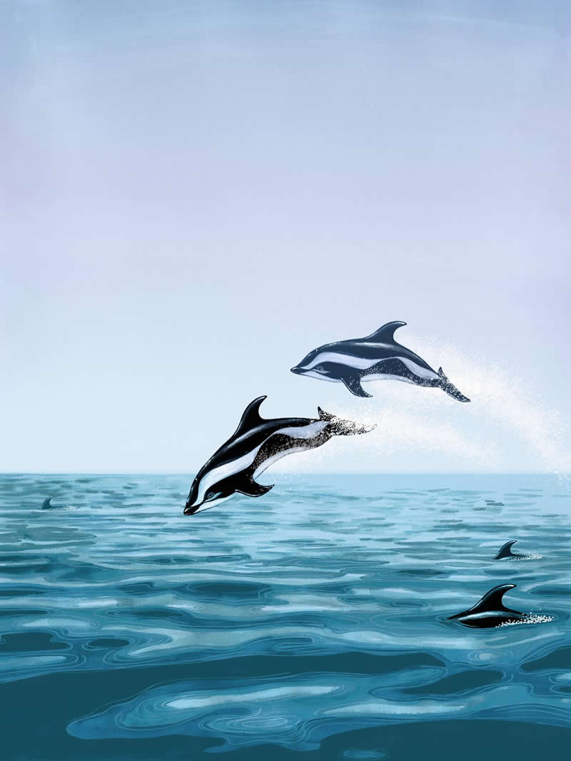 The Fairy-Tale Animal World of Amandine Delaunay