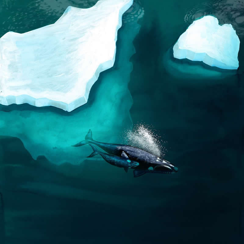 The Fairy-Tale Animal World of Amandine Delaunay