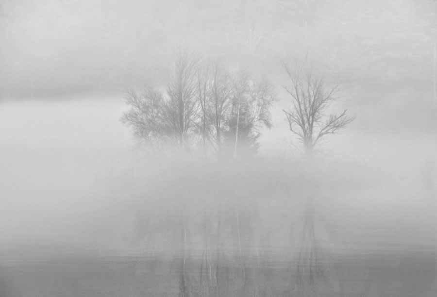 Gurushots Mostly White Winners Photo Challenge