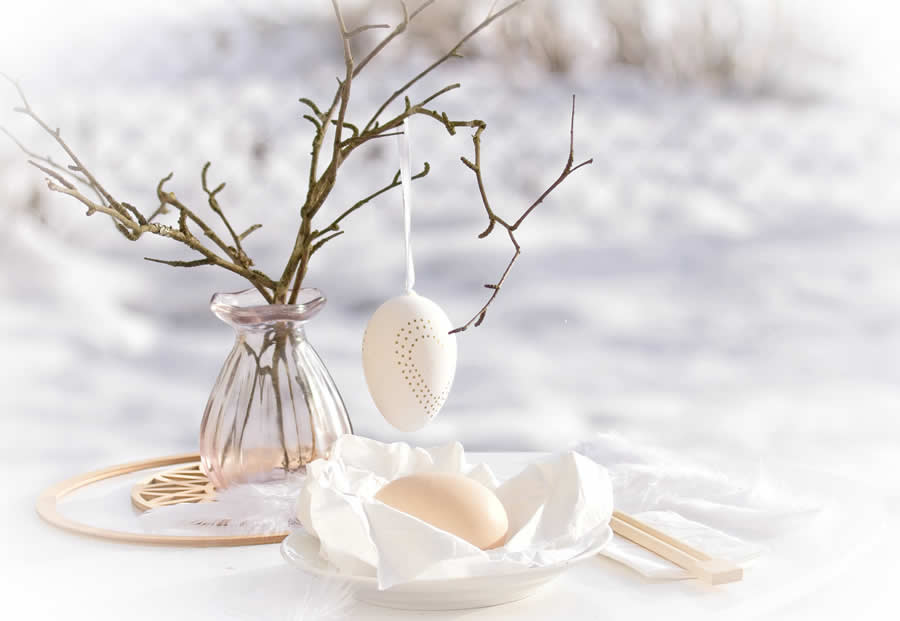 Gurushots Mostly White Winners Photo Challenge