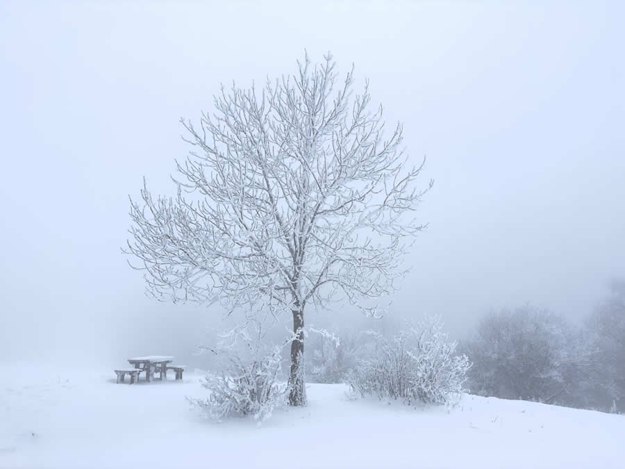 Gurushots Mostly White Winners Photo Challenge