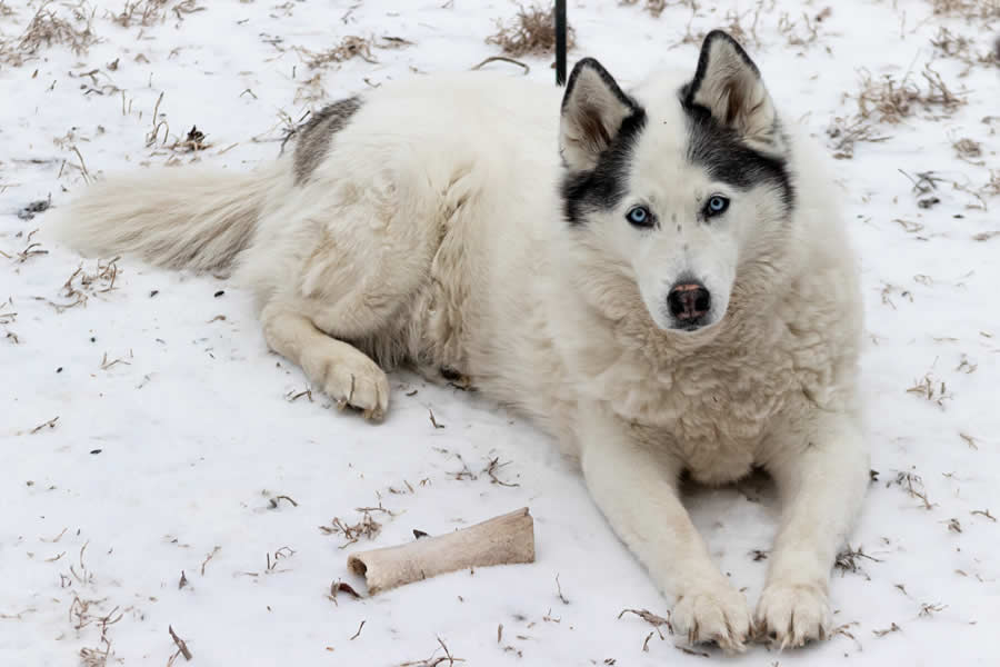 Gurushots Mostly White Winners Photo Challenge