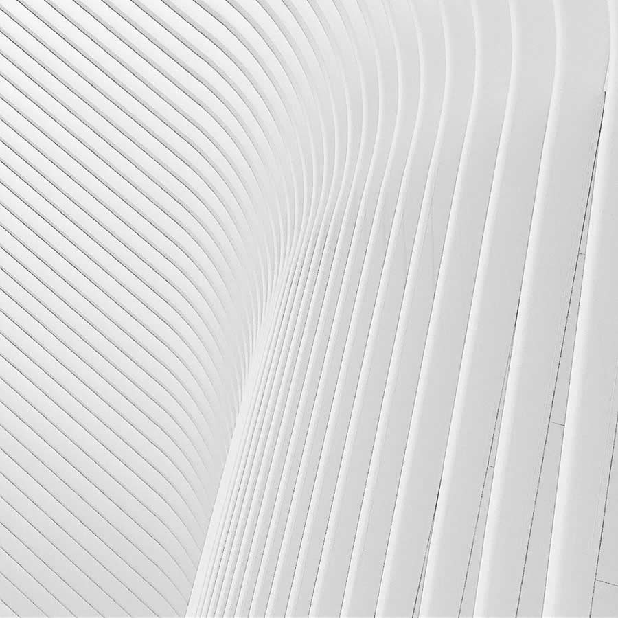 Gurushots Mostly White Winners Photo Challenge