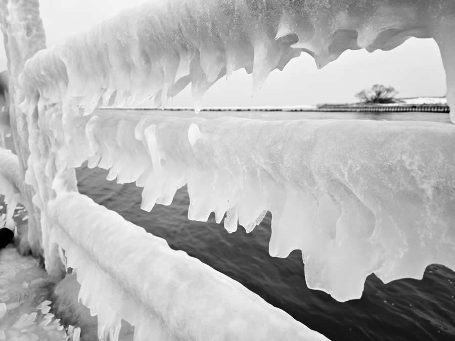 Gurushots Mostly White Winners Photo Challenge