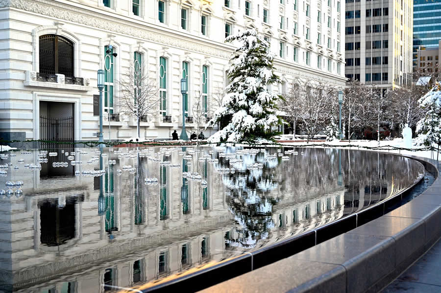 Gurushots Mostly White Winners Photo Challenge