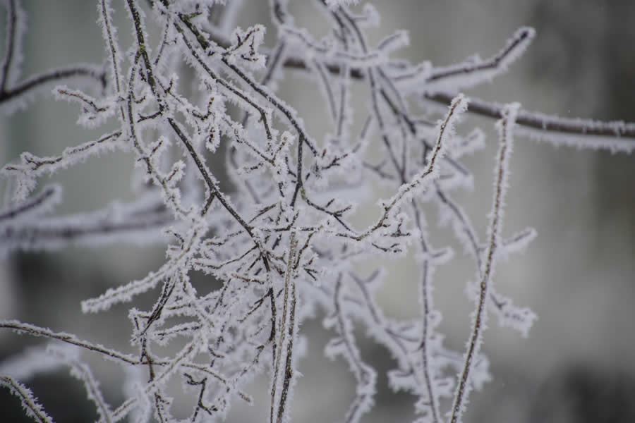 Gurushots Mostly White Winners Photo Challenge