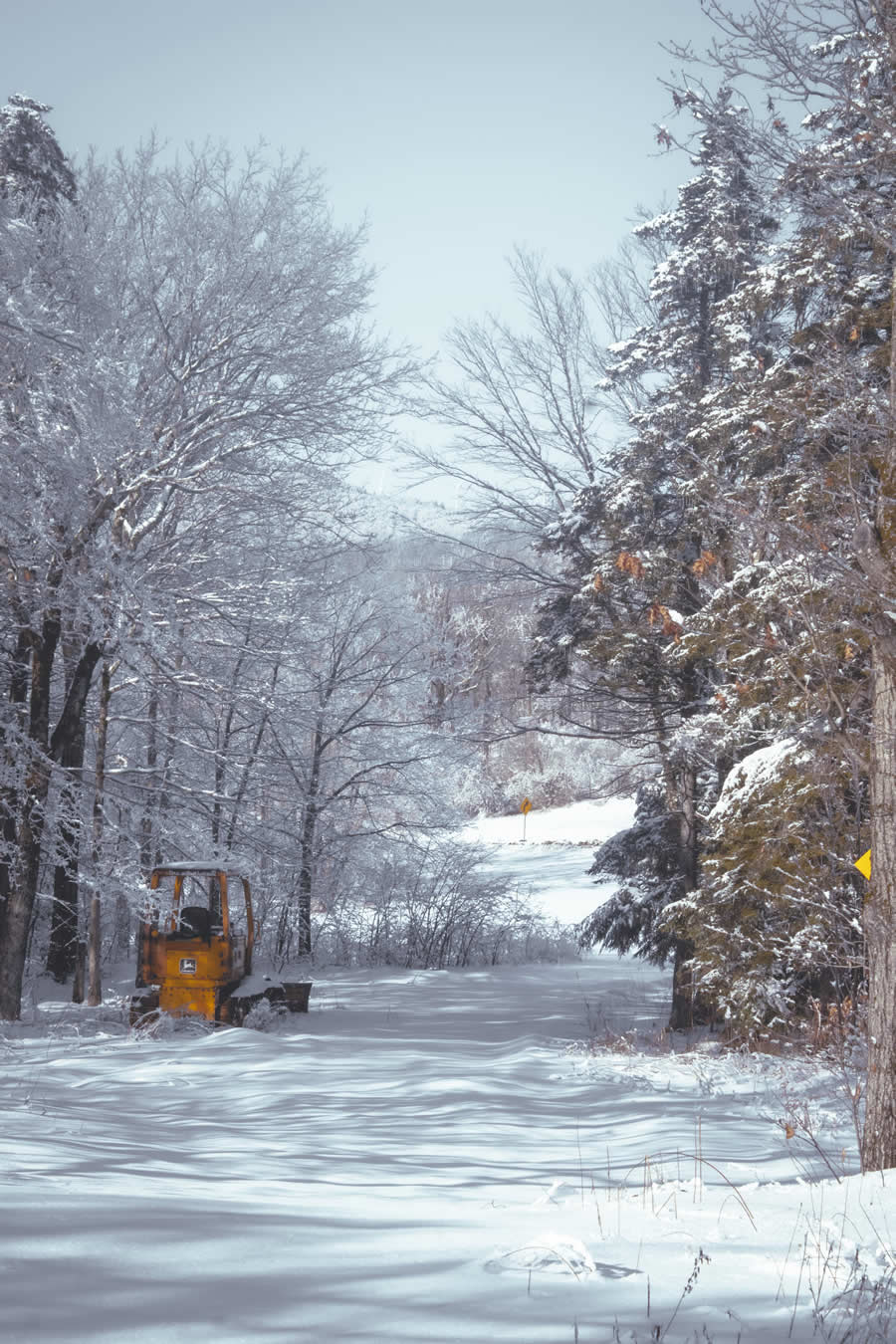 Gurushots Mostly White Winners Photo Challenge