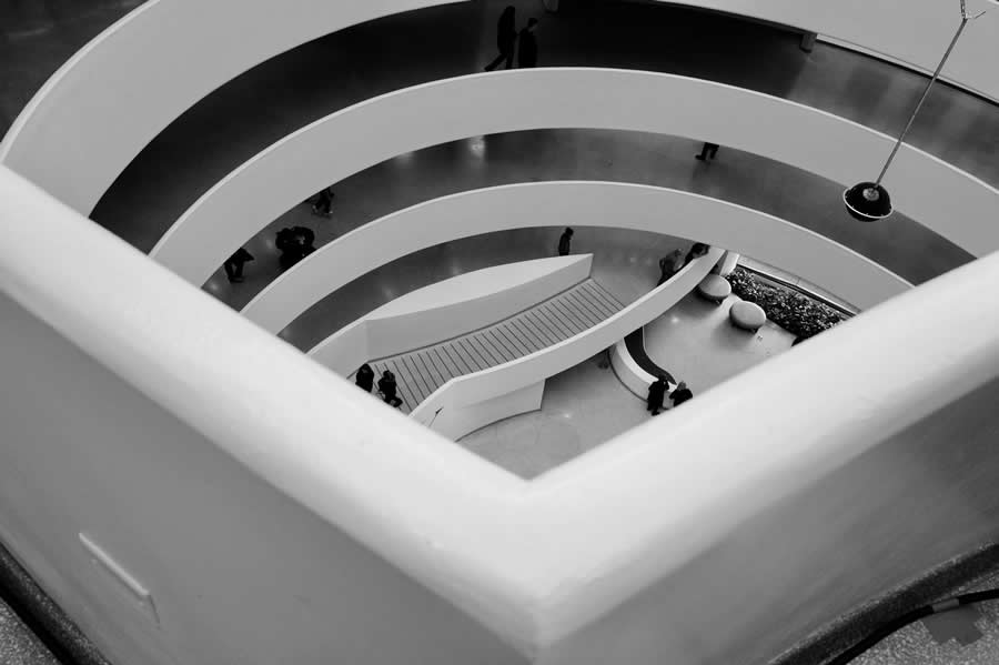 Gurushots Mostly White Winners Photo Challenge