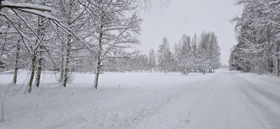 Gurushots Mostly White Winners Photo Challenge