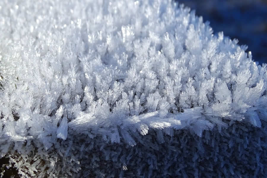 Gurushots Mostly White Winners Photo Challenge