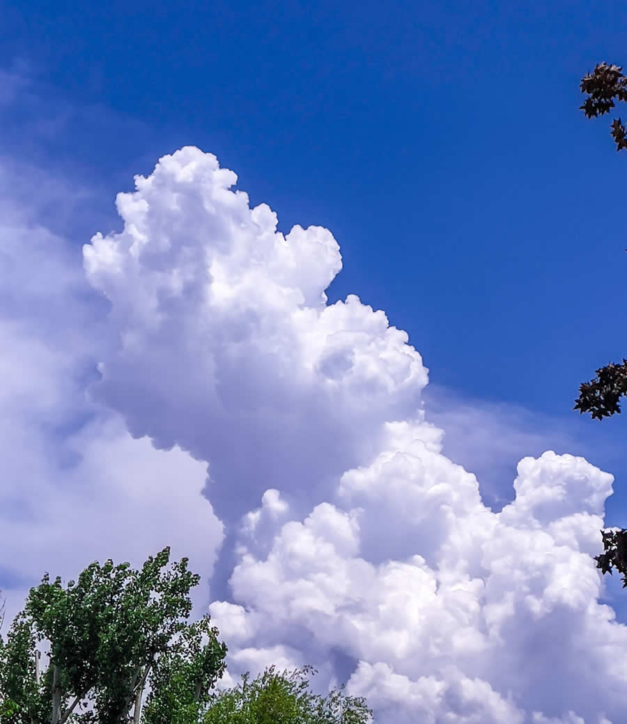 Gurushots Mostly White Winners Photo Challenge