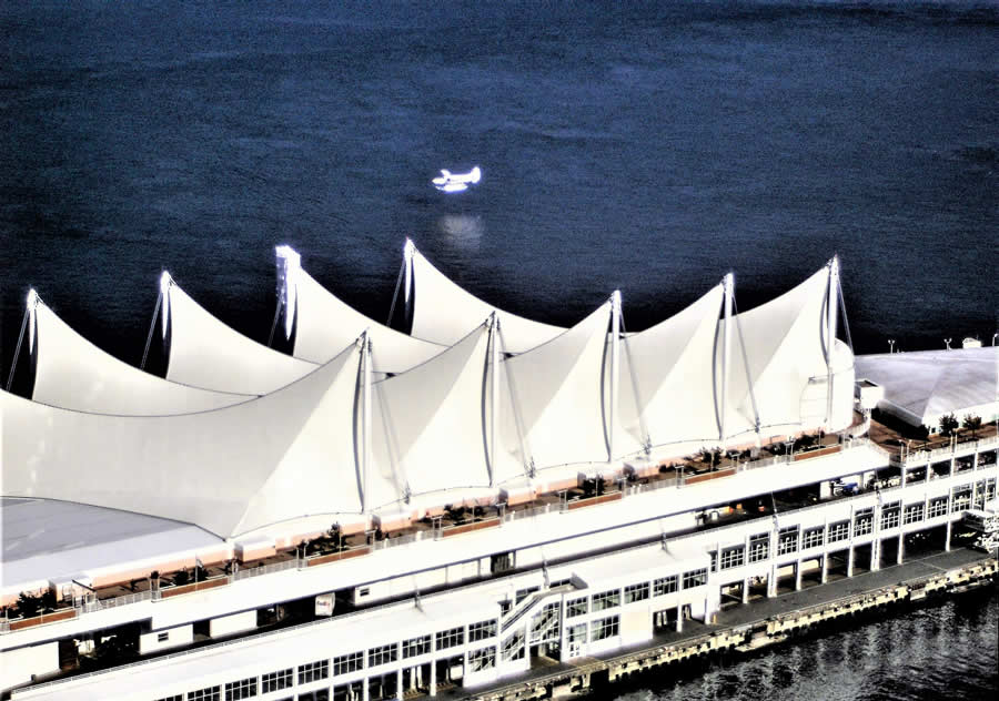 Gurushots Mostly White Winners Photo Challenge