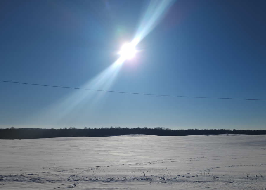 Gurushots Mostly White Winners Photo Challenge