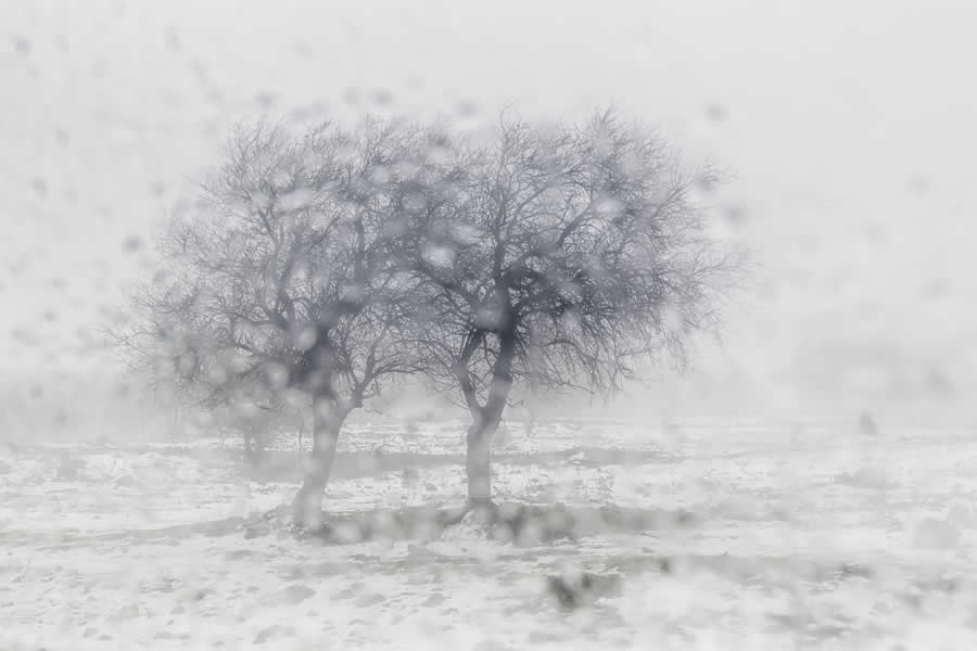 Gurushots Mostly White Winners Photo Challenge