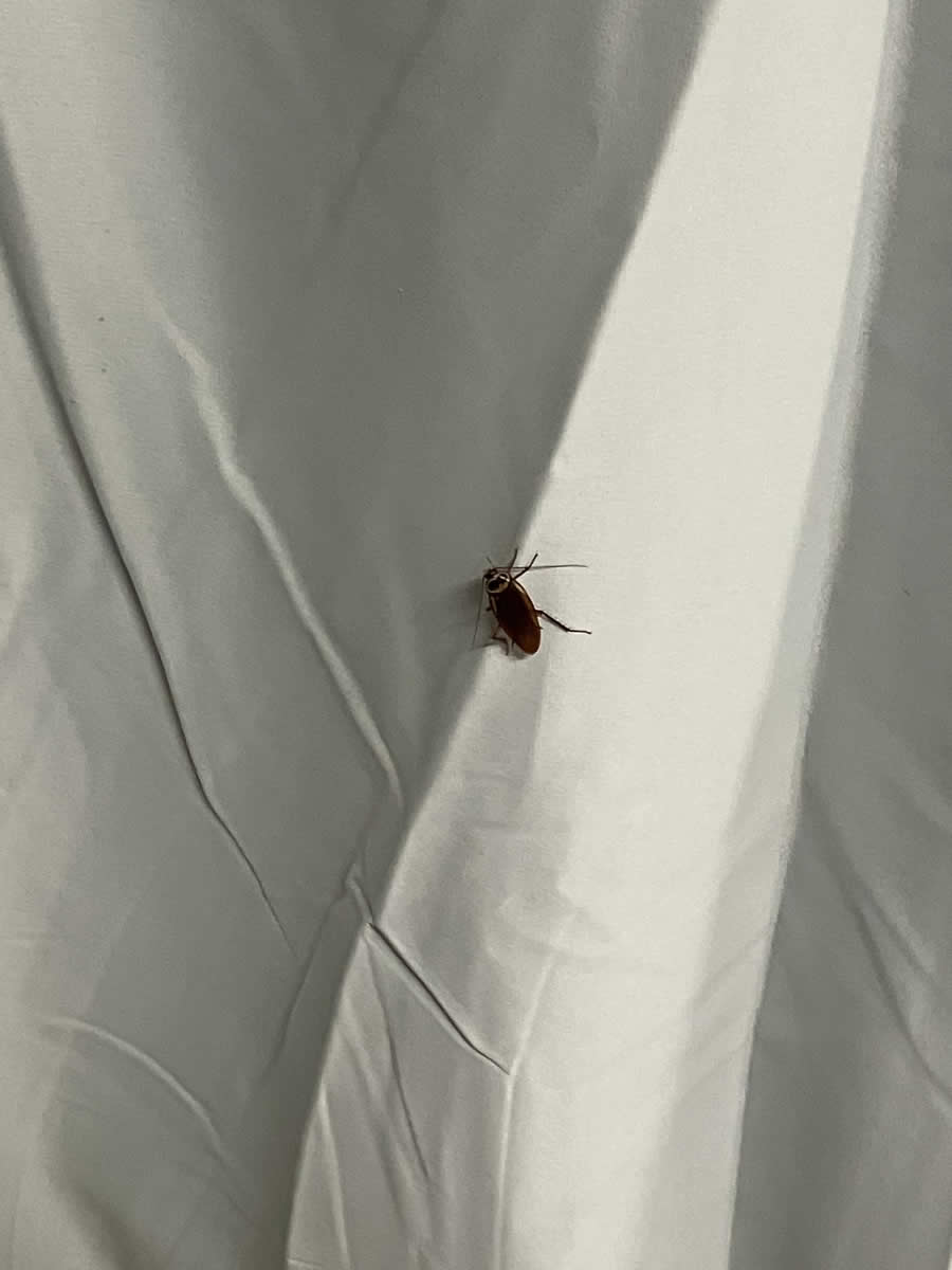 Gurushots Mostly White Winners Photo Challenge