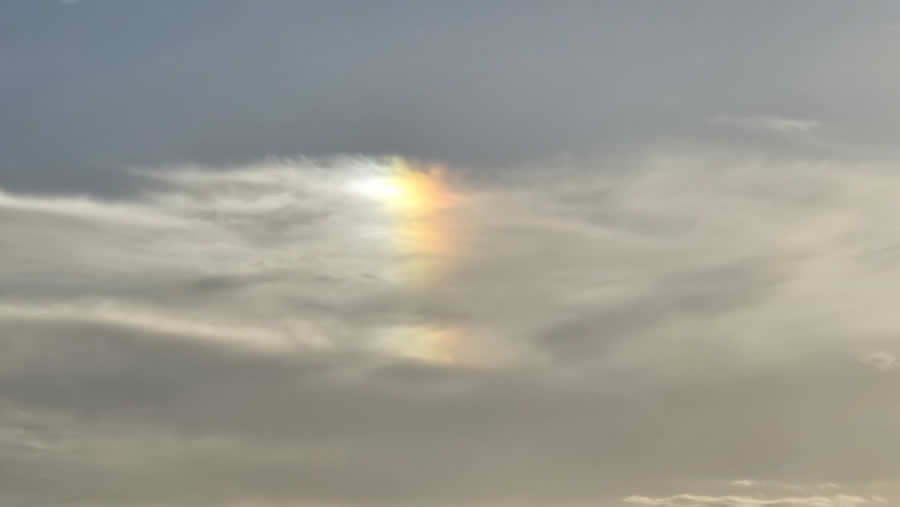 Gurushots Mostly White Winners Photo Challenge