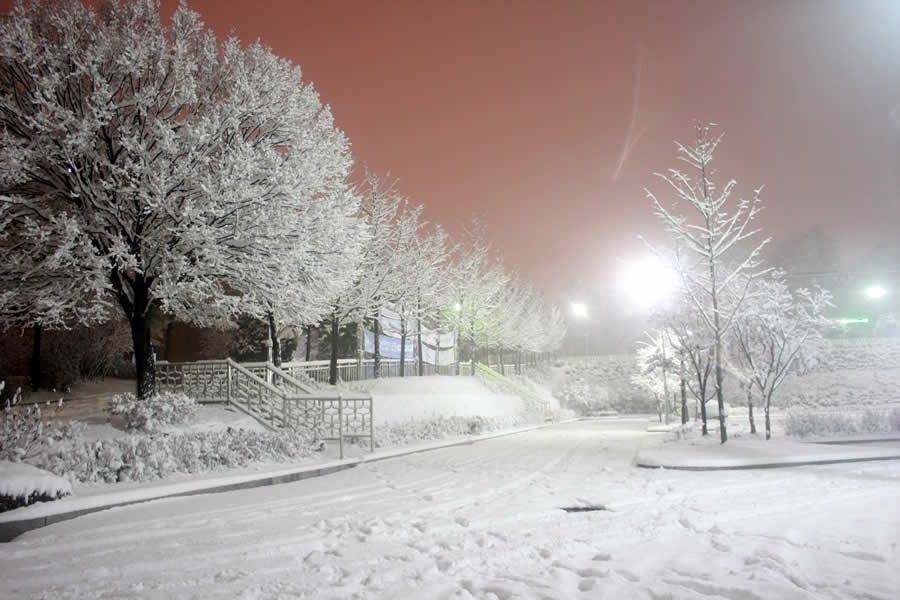 Gurushots Mostly White Winners Photo Challenge