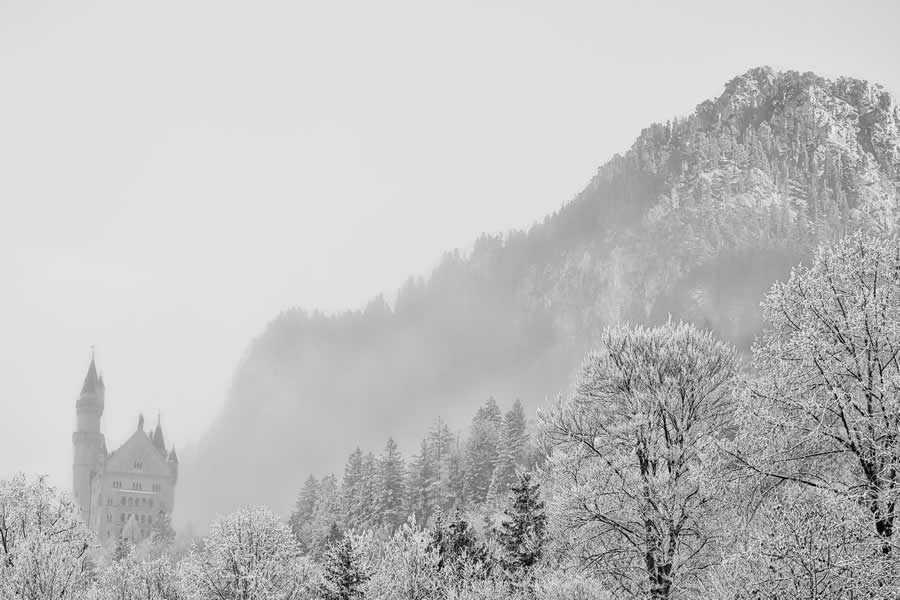 Gurushots Mostly White Winners Photo Challenge