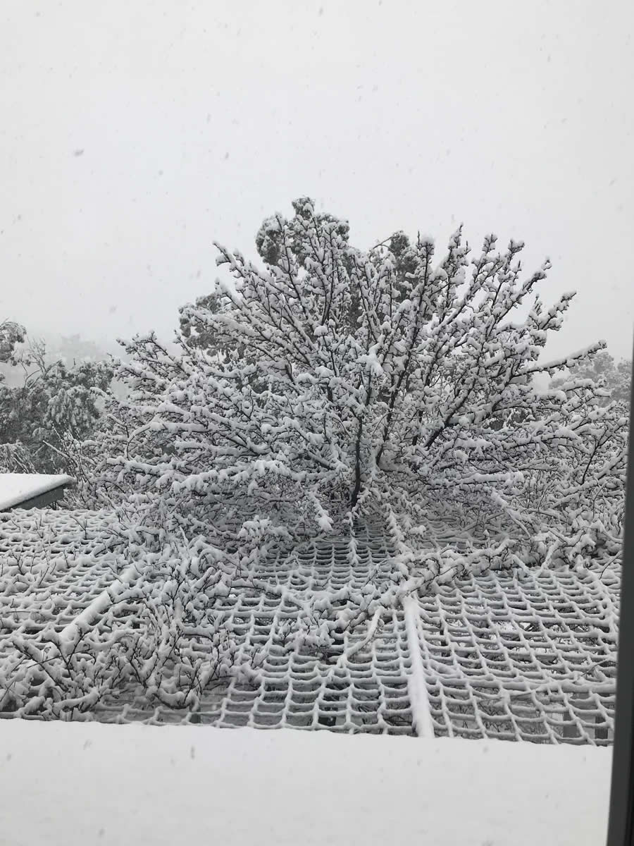 Gurushots Mostly White Winners Photo Challenge