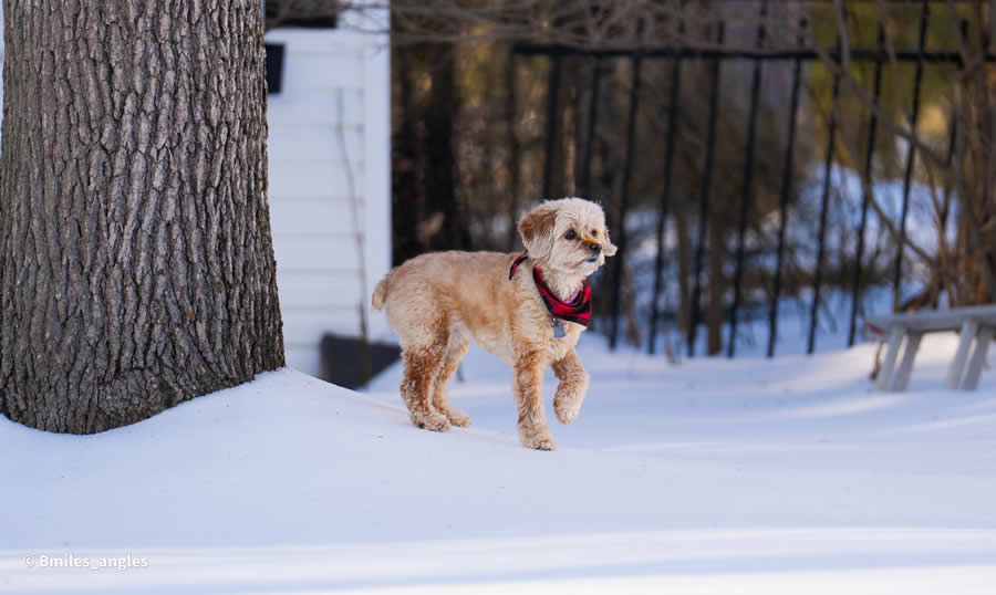 Gurushots Mostly White Winners Photo Challenge