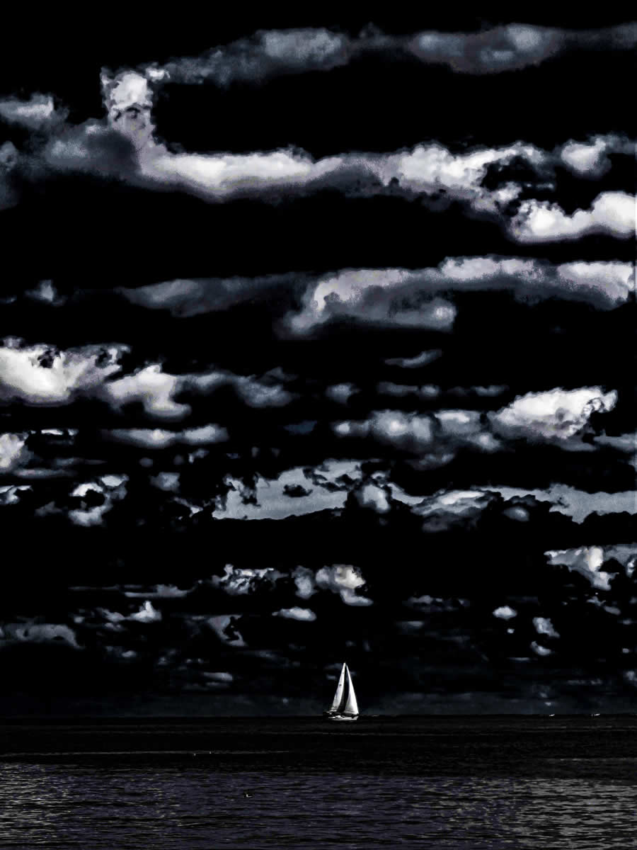 Gurushots Mostly White Winners Photo Challenge