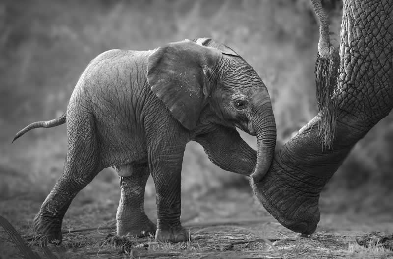 “Keeping Up” by Karen Cohen