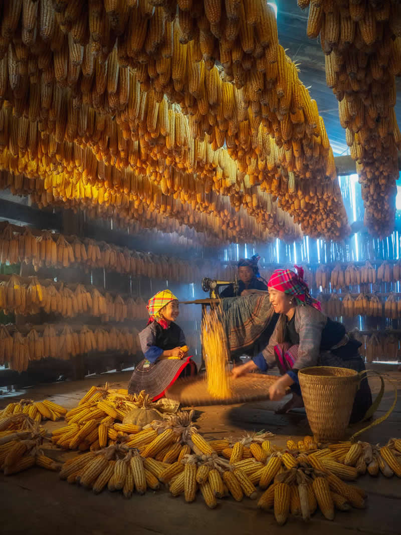 2026 Memorial Maria Luisa Awards: Best Mountain & Nature Photos Revealed 63 Women working indoors surrounded by hanging corn, processing harvested maize in a warmly lit rural setting with baskets and traditional clothing.