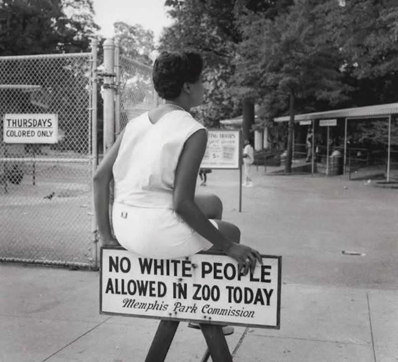 In segregated Tennessee of the 1950s, the Memphis Zoo allowed only 'cọlọred peọple' to enter on Thursday of each week.