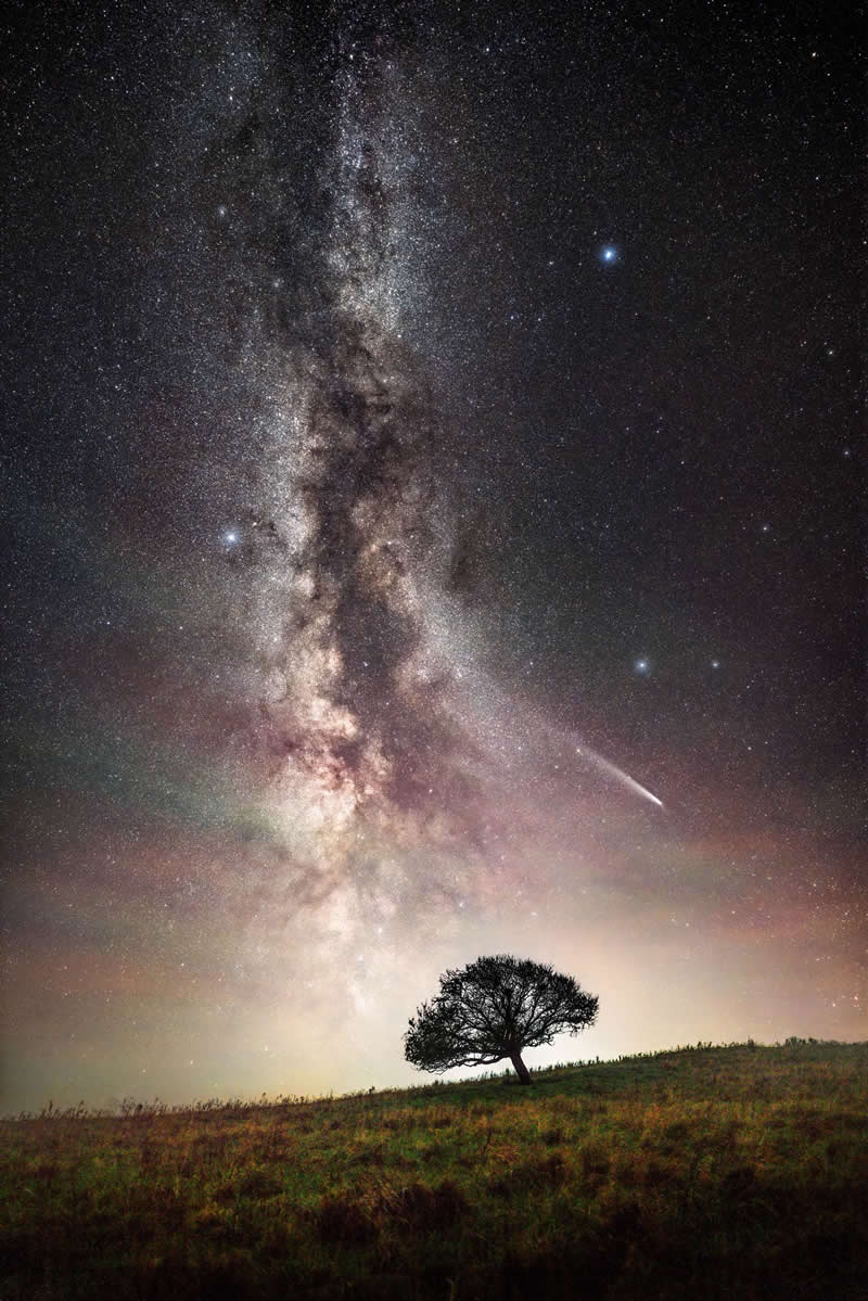 Lone tree on a grassy hill beneath the Milky Way galaxy with a shooting star streaking across the colorful night sky.