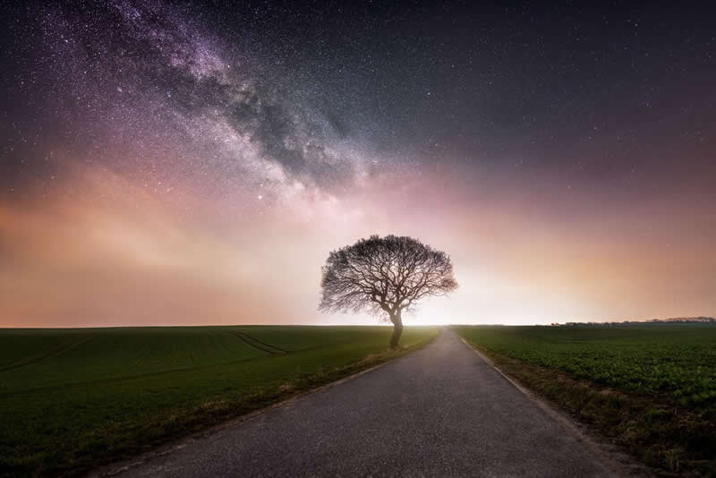 A single tree stands quietly by a country road, illuminated by the Milky Way as dusk colors fade and stars fill the calm night sky.