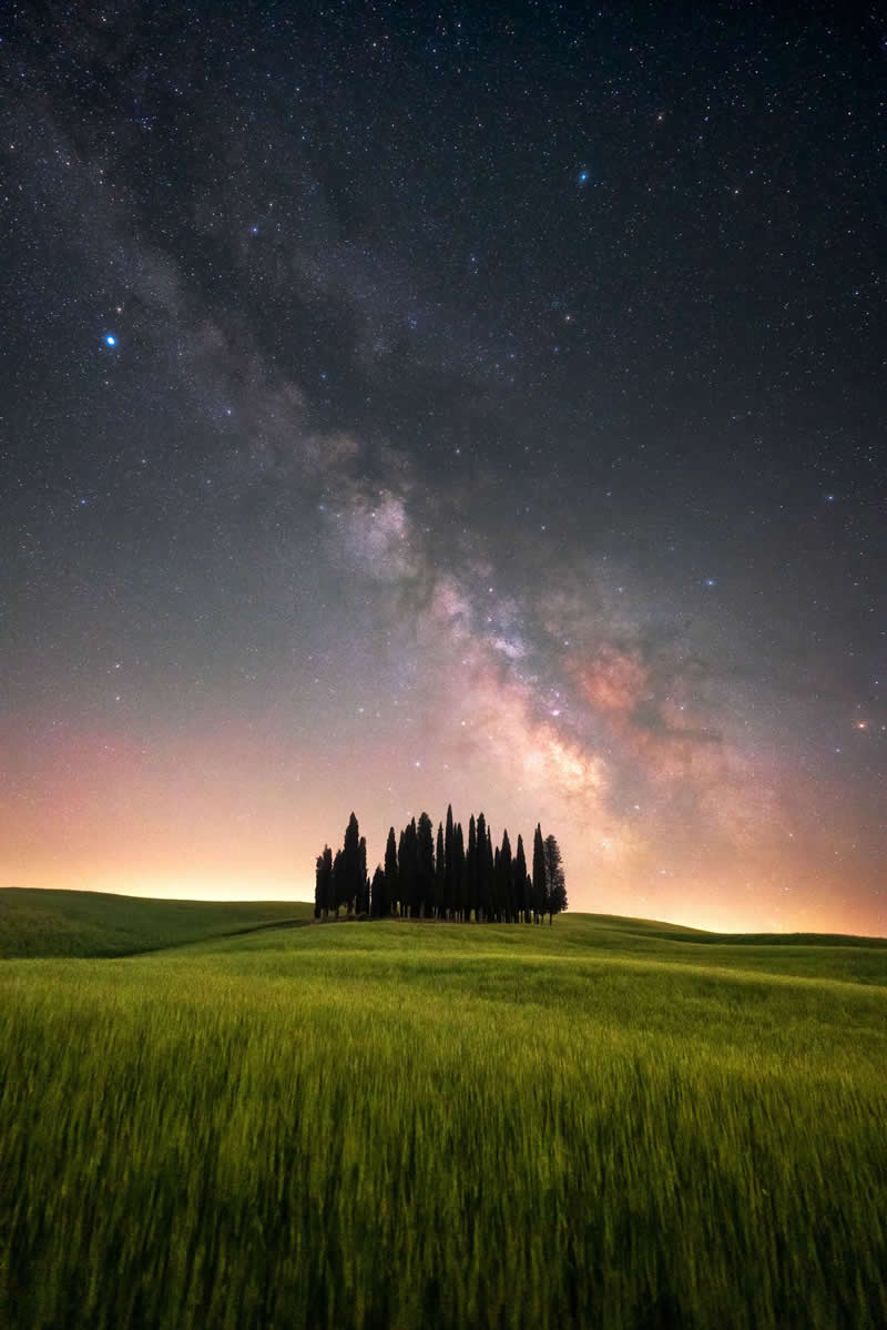 Milky Way galaxy rising above green rolling fields with a cluster of tall trees silhouetted against a glowing star-filled night sky.