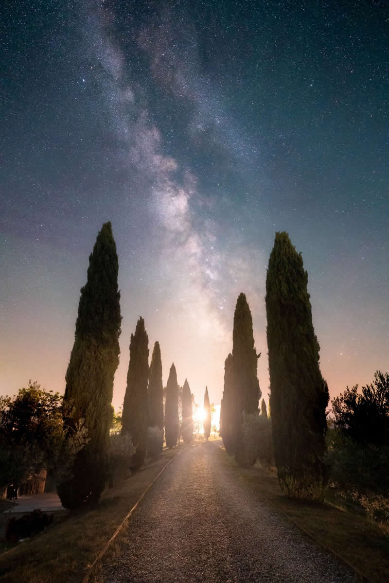 A tree-lined road leading toward a glowing horizon beneath the Milky Way galaxy with stars filling the night sky above tall cypress trees.