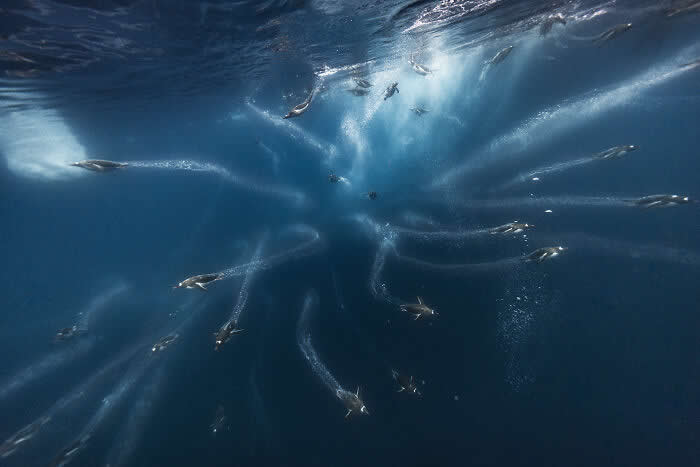 Power, 3rd Place: Jet Streams By Scott Portelli | HIPA Photography Award Winners